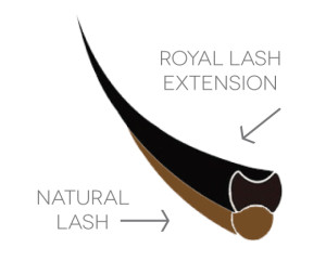Royal Lash Extension