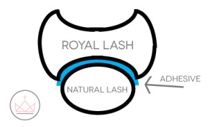 royal flat ellipse lash extension